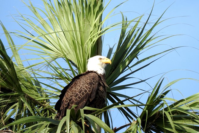 Everglades Day Safari from Ft Lauderdale - Guides make the difference
