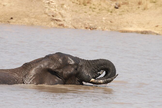 Exclusive Sunset Game Drive Safari near Hoedspruit - What the strongest moments may feel like