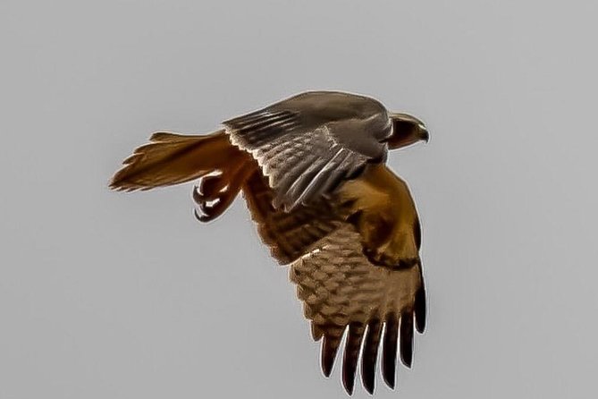 Explore Agadir wildlife national park safari with lunch & pickup - Photo stops beyond the animal sightings
