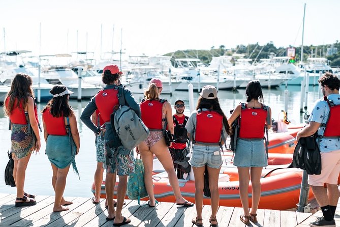 Fajardo Mini Boat Snorkel Safari - Is the $250 price a good value?