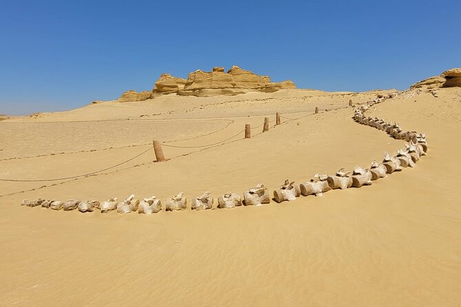 Fayoum Adventure: Whales Valley,4x4 Desert Safari & Wadi Rayan - Swimming at Magic Lake