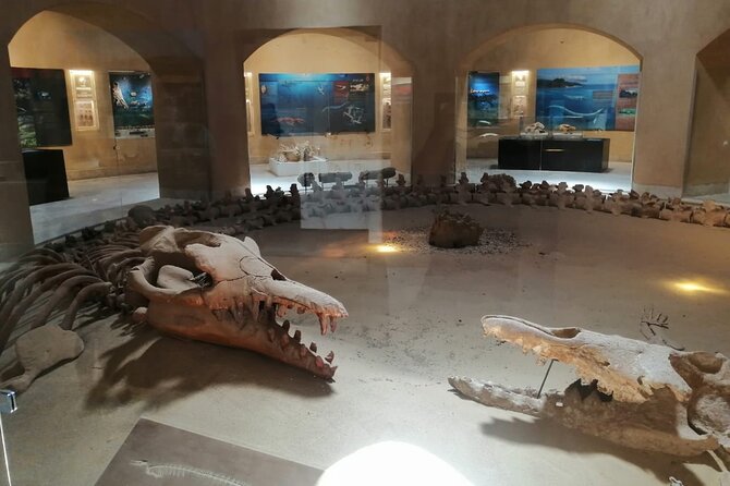 Fayoum Adventure: Whales Valley,4x4 Desert Safari & Wadi Rayan - Lunch and the value of the $160 price