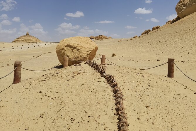 Fayoum Oasis Adventure 4WD Desert Safari with Traditional Lunch - Lunch, admissions, and what the $100 price really covers