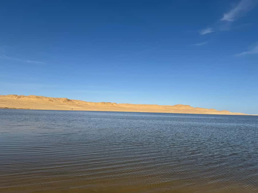 Fayoum: Qarun Sahara Safari With( ATV ) Quad bike From Cairo - Key points before you book