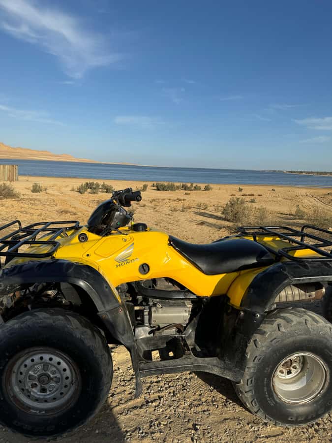 Fayoum: Qarun Sahara Safari With( ATV ) Quad bike From Cairo - Looking at the stars before Cairo
