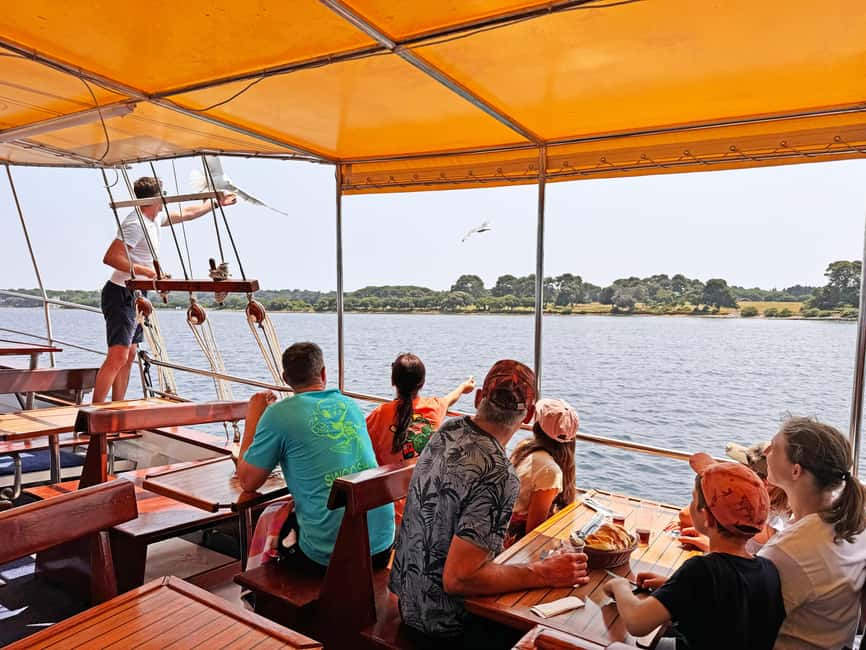 Fazana: Dolphin Finder in Brijuni islands Safari with Dinner - Key things to know before booking