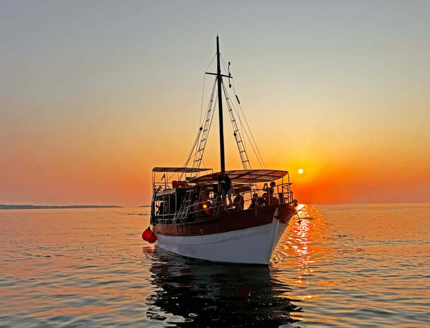 Fazana: Dolphin Finder in Brijuni islands Safari with Dinner - Searching for bottlenose dolphins