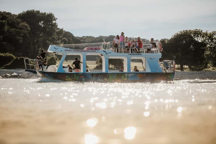 FAŽANA: DOLPHIN SAFARI - Who will enjoy this boat trip most?