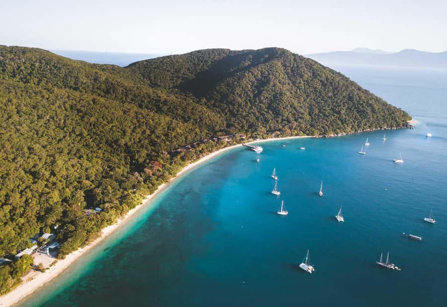 Fitzroy Island: Full-Day Ferry & Snorkel Safari Guided Tour - Getting your bearings during the first island hour