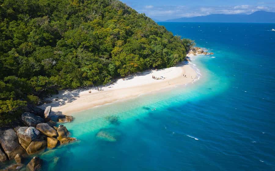 Fitzroy Island: Full-Day Ferry & Snorkel Safari Guided Tour - The 8:00 AM ferry from Cairns