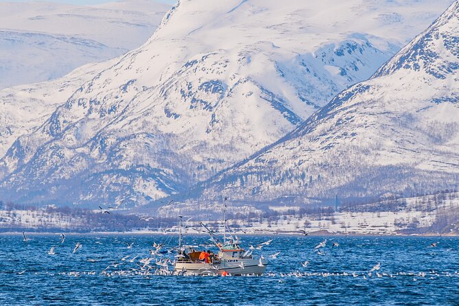 Fjord Safari in the Altafjord - Passing Isnestoften by the fjord entrance