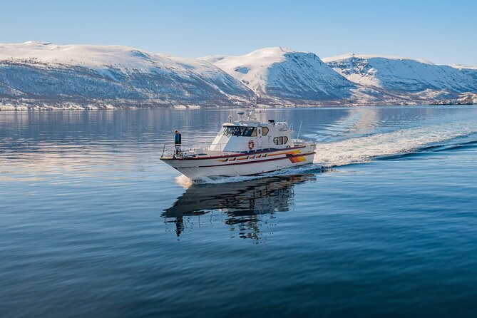 Fjord Safari in the Altafjord - What $171.21 buys you