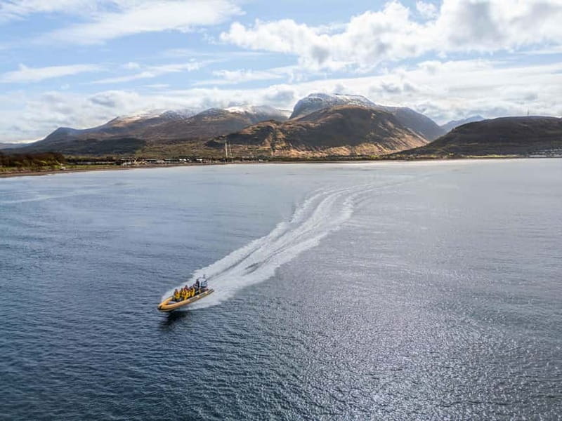 Fort William: 1hr Loch Safari Speedboat Tour - Key points to know before you book