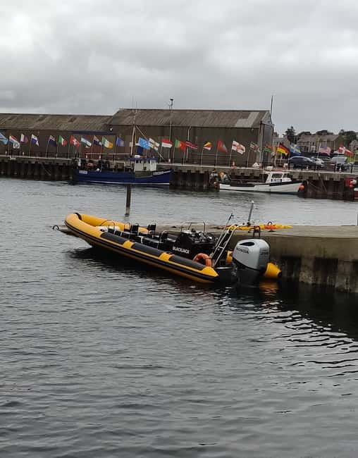Fort William: 1hr Loch Safari Speedboat Tour - What to wear and how to prepare