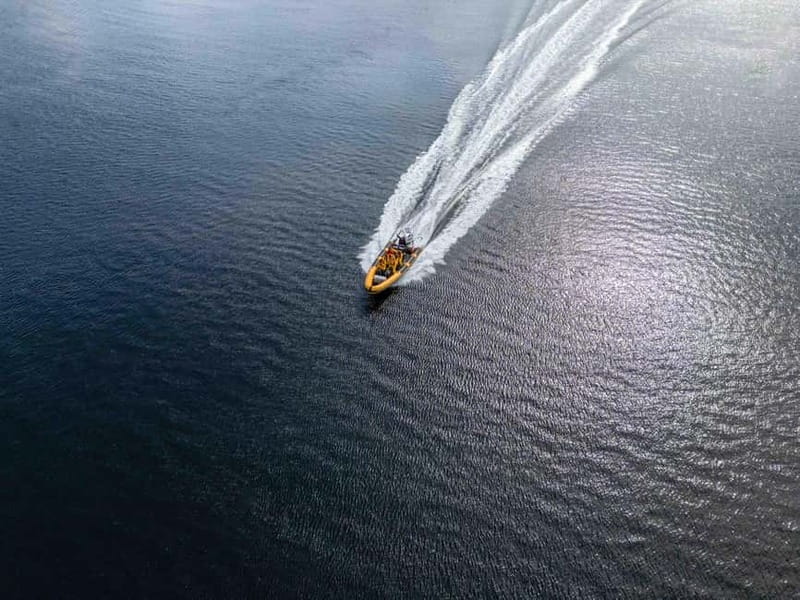 Fort William: 1hr Loch Safari Speedboat Tour - Who will enjoy this Fort William boat ride?
