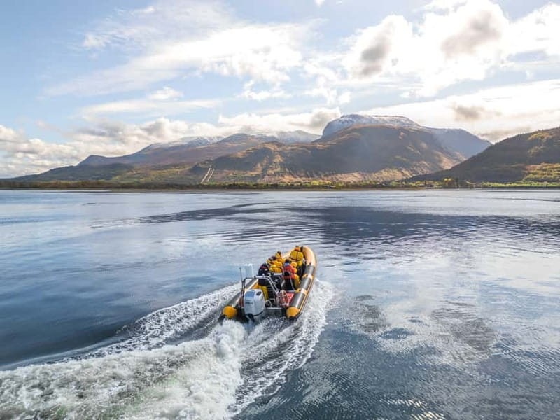 Fort William: 1hr Loch Safari Speedboat Tour - Passing Corpach with Ben Nevis ahead