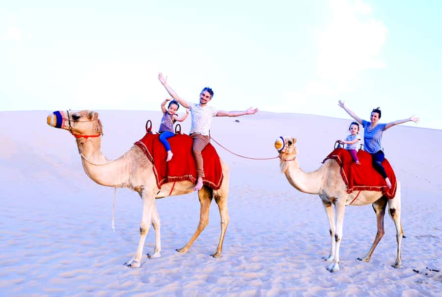 From Abu Dhabi: Dune Bashing Desert Safari - What the $62 price really covers