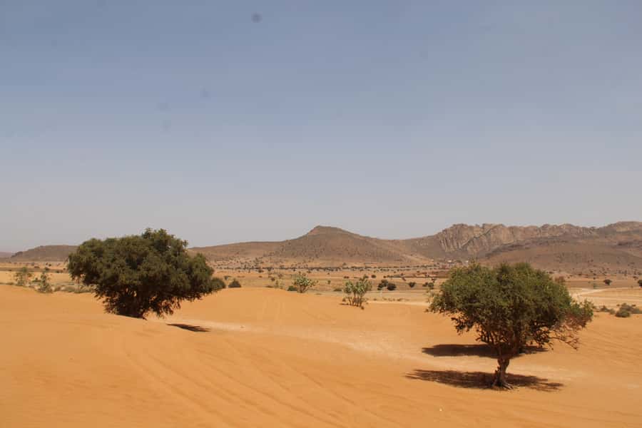 From Agadir: 4×4 Sahara Desert Safari with Lunch and Pickup - Who should book this excursion?