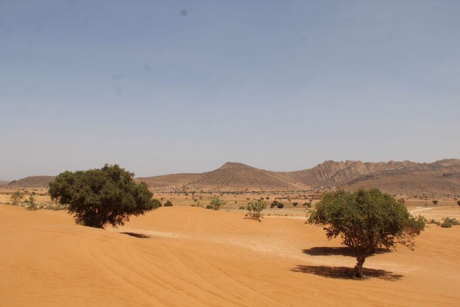 From Agadir: 4×4 Sahara Desert Safari with Lunch and Pickup - Tiznit’s old walls and silver workshops
