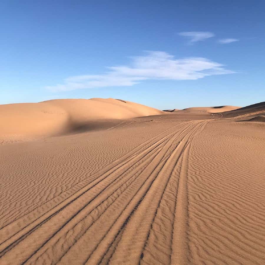 From Agadir: Jeep Desert Safari with Lunch and Camel Ride - Key points to know before booking
