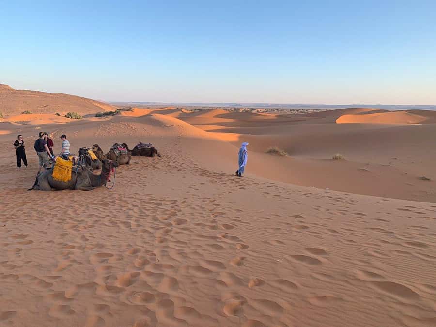 From Agadir: Jeep Desert Safari with Lunch and Camel Ride - How to prepare for this long Moroccan outing