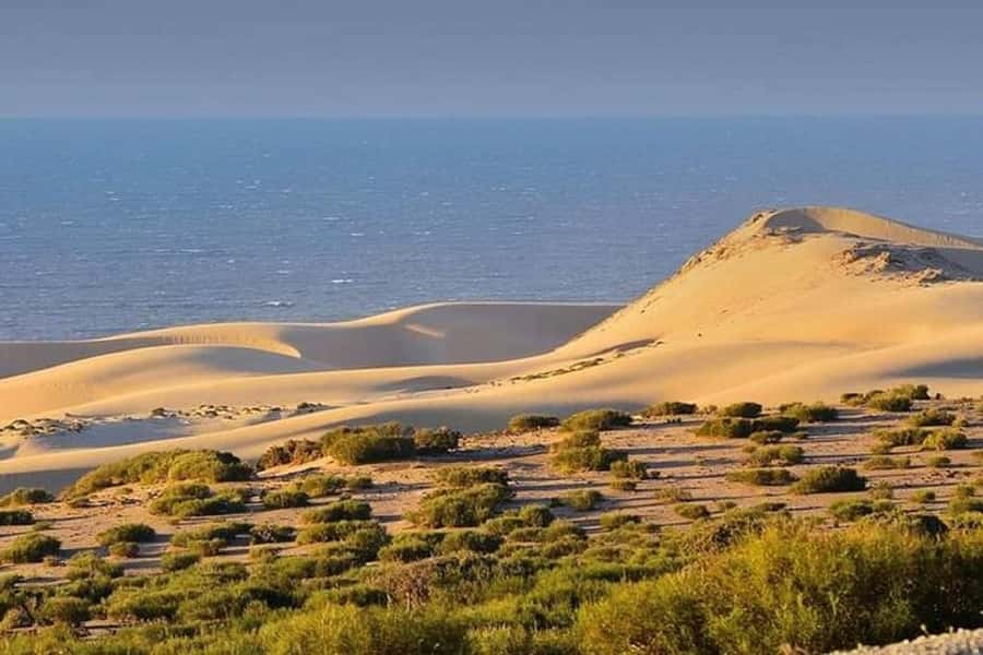 From Agadir: Jeep Desert Safari with Lunch and Camel Ride - Massa National Park and the Sous River