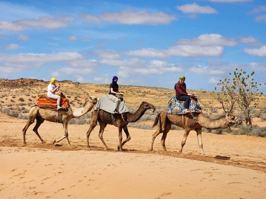 From Agadir: Jeep Desert Safari with Lunch and Camel Ride - Vehicles, group size, and comfort