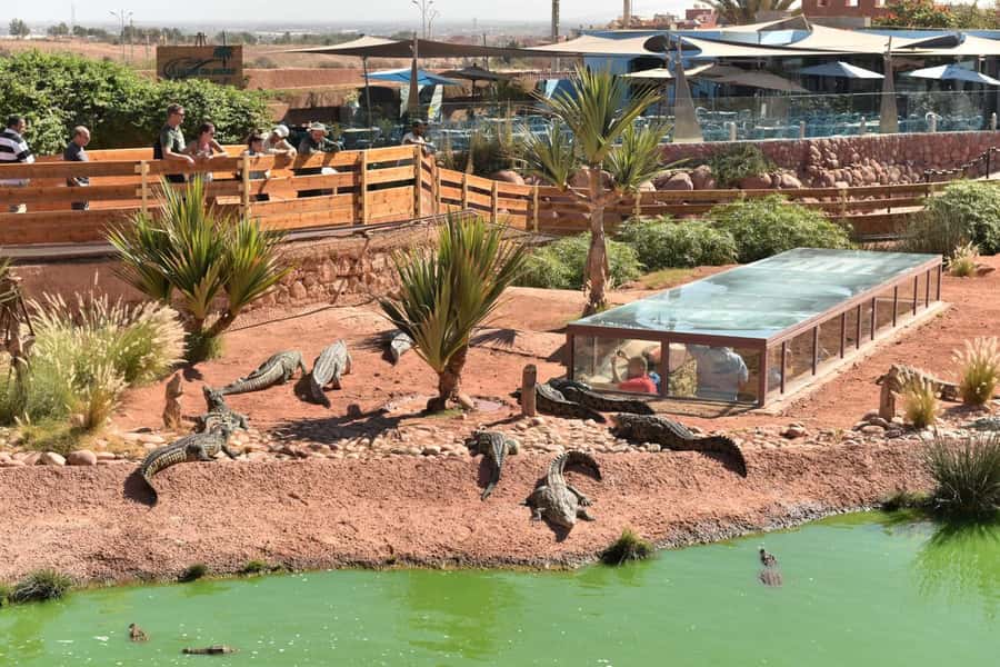 From Agadir/Taghazout: Buggy Safari Adventure & Moroccan Tea - Key points to know before booking