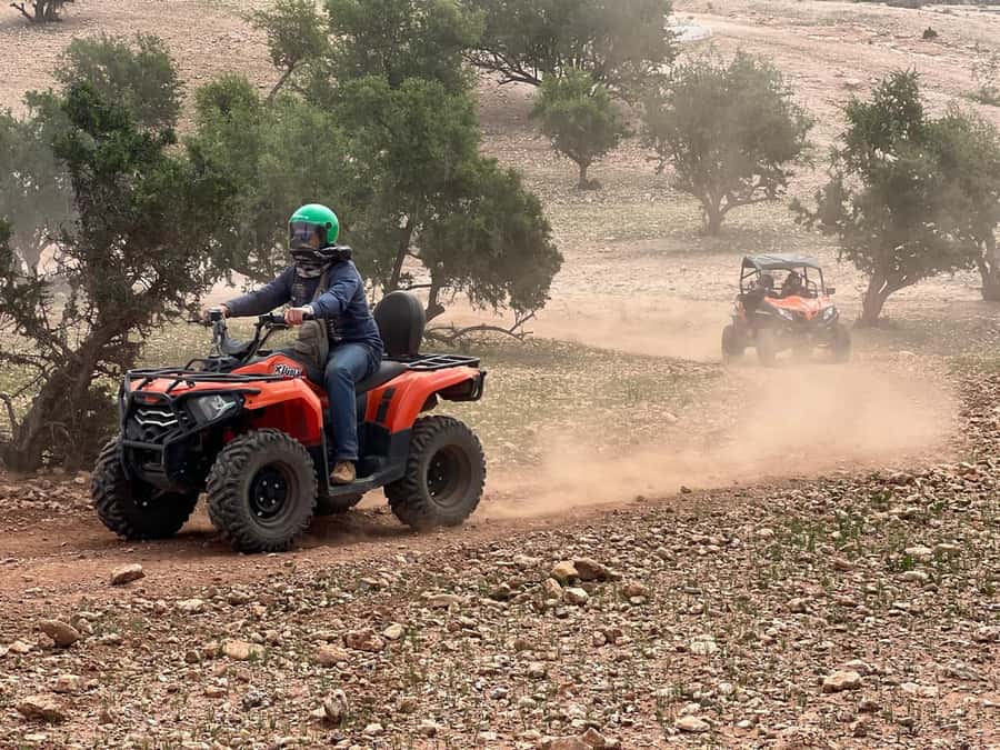 From Agadir/Taghazout: Buggy Safari Adventure & Moroccan Tea - Goats in argan trees and the Moroccan tea stop