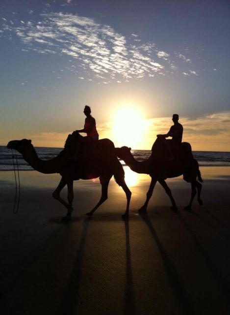 From Agadir/Taghazout: Buggy Safari Adventure & Moroccan Tea - Hotel transfers and the three-hour schedule
