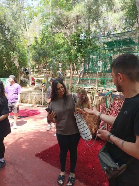 From Alanya: Lion Safari & Green Canyon Splash Feast w/Lunch - Key points to know before booking