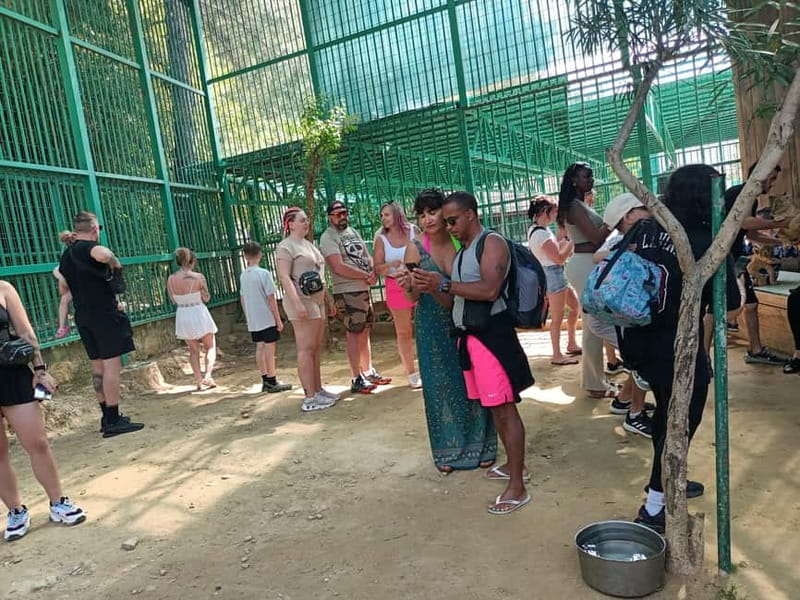 From Alanya: Lion Safari & Green Canyon Splash Feast w/Lunch - Gözleme, foam, and a second kind of splash