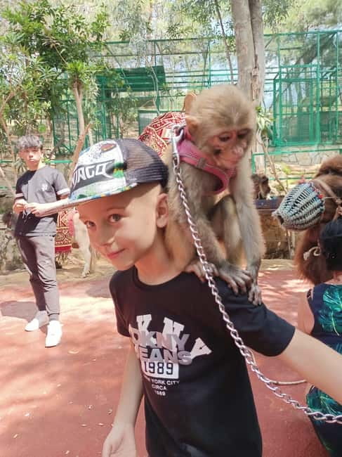 From Alanya: Lion Safari & Green Canyon Splash Feast w/Lunch - The one-hour Green Canyon boat ride