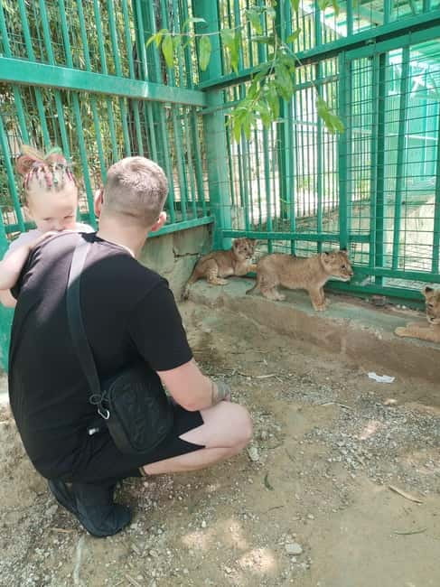 From Alanya: Lion Safari & Green Canyon Splash Feast w/Lunch - How the tour handles timing and transport