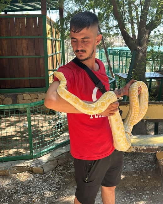 From Alanya: Lion Safari & Green Canyon Splash Feast w/Lunch - The opening ride and first water battle