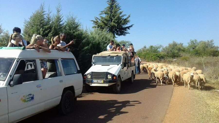 From Albufeira: 4x4 Off-Road Safari & Vineyard Wine Tasting - The off-road section through cork country