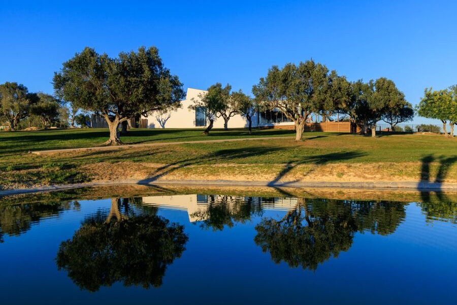 From Albufeira: 4x4 Off-Road Safari & Vineyard Wine Tasting - A possible farm stop for honey and local drinks