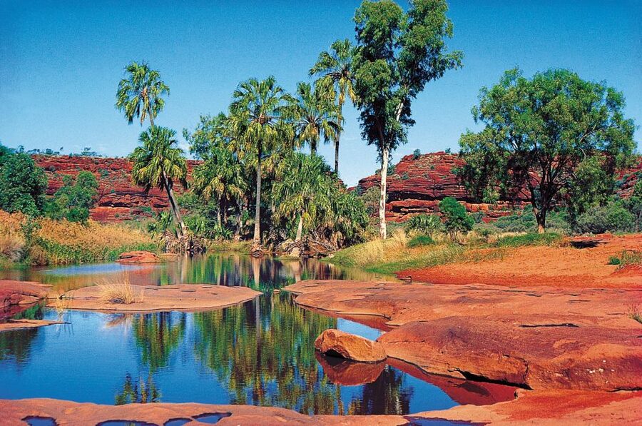 From Alice Springs: Palm Valley 4WD Outback Safari + Picnic - Key points at a glance