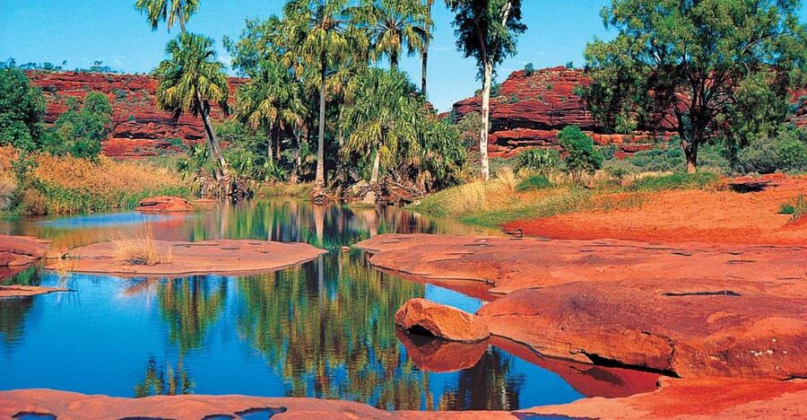 From Alice Springs: Palm Valley 4WD Outback Safari + Picnic - Hermannsburg, morning tea, and a useful pause