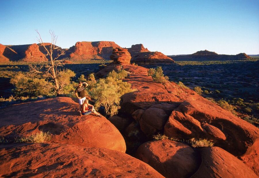 From Alice Springs: Palm Valley 4WD Outback Safari + Picnic - What the guide adds to the day