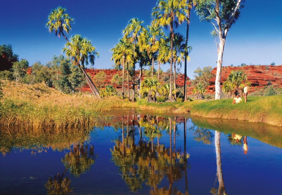 From Alice Springs: Palm Valley 4WD Outback Safari + Picnic - Who should book this Palm Valley tour?