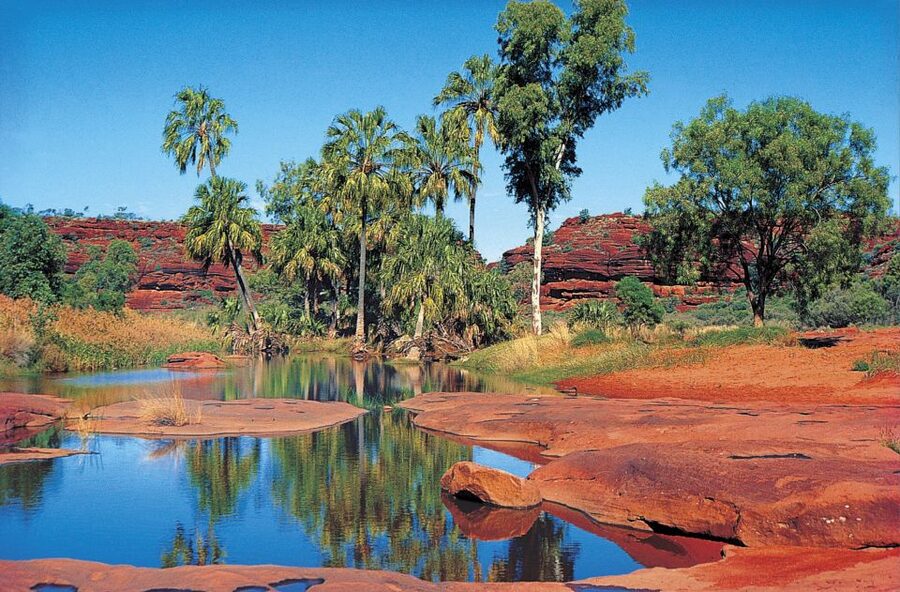 From Alice Springs: Palm Valley 4WD Outback Safari + Picnic - The long road west from Alice Springs