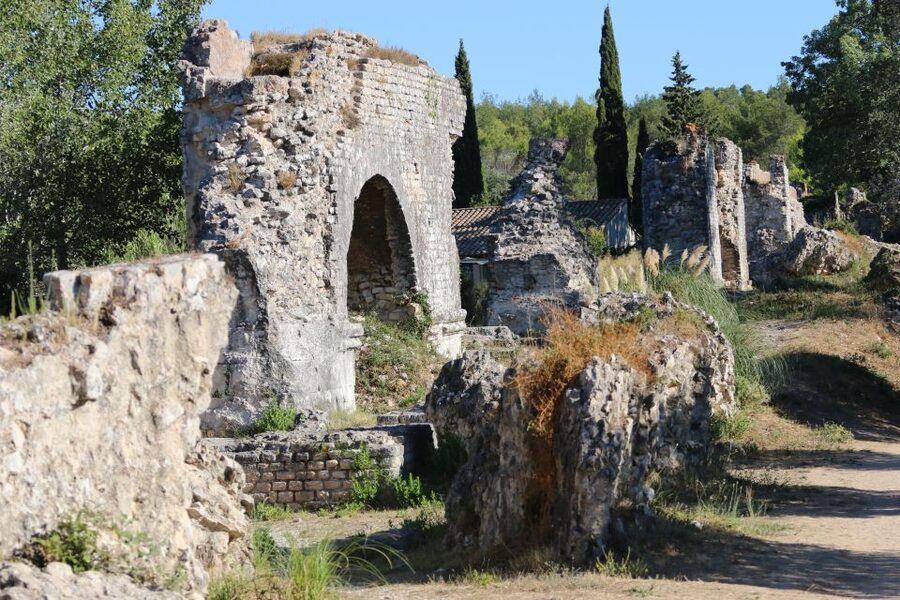 From Arles: Alpilles Regional Park Provence 4x4 Safari - Olive Groves and the Mill Visit