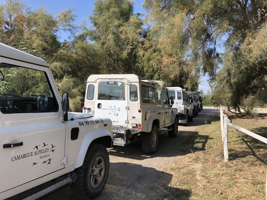 From Arles: Half-Day 4x4 Camargue Safari - Key points to know before you go