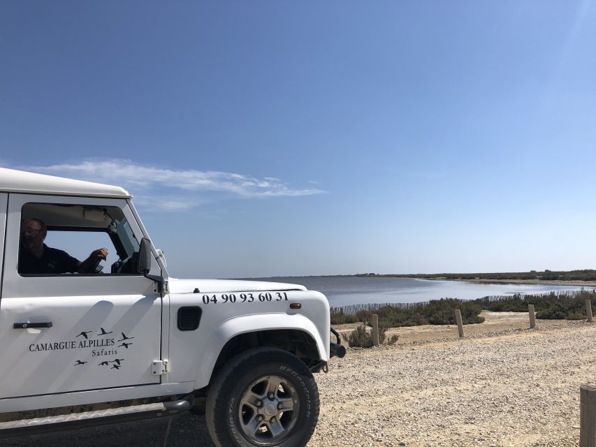 From Arles: Half-Day 4x4 Camargue Safari - Saintes Maries de la Mer adds a change of pace