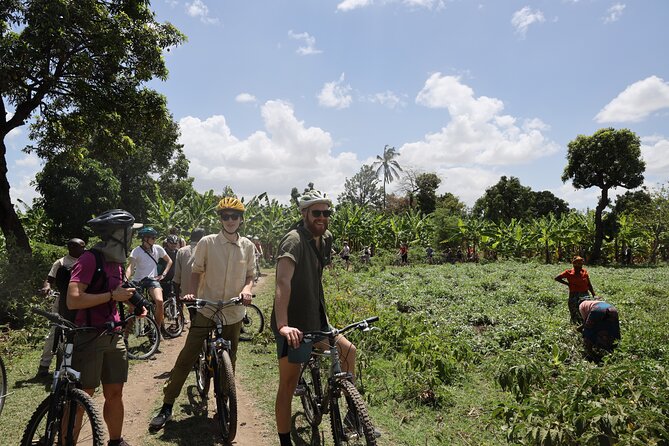 From Arusha: 7 Days Classic Safari Central Northern Circuit - The road to Karatu and Africa Safari Karatu
