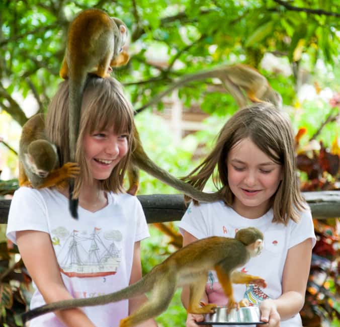 From Bayahibe: Half Day Monkeyland Safari - Key points to know before you book