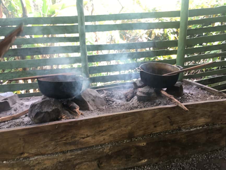 From Bayahibe: Half Day Monkeyland Safari - Practical advice for a smoother visit
