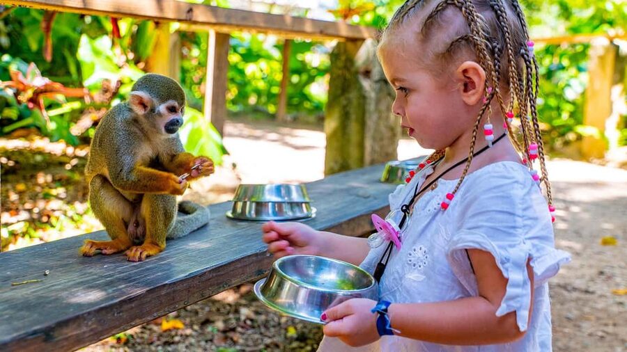 From Bayahibe: Half Day Monkeyland Safari - Native plants and flowers before the animals