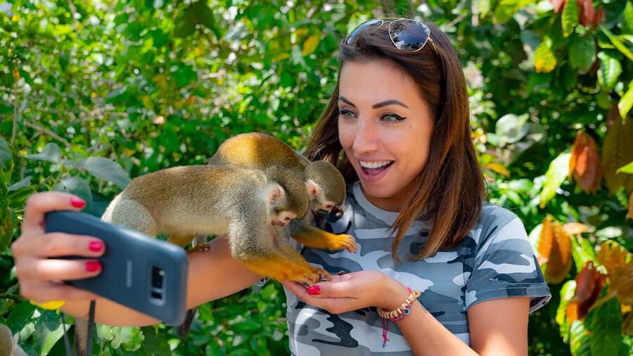 From Bayahibe: Half Day Monkeyland Safari - Who should book this experience?